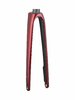 Trek Fork Rigid Trek Domane SLR 53R Rage Red/Trek Black