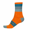 Endura Bandwidth Streifensocken: Pumpkin - S-M