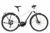 Riese & Müller Roadster Mixte Touring HS Crystal White