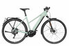 Riese & Müller Roadster Mixte Touring HS Salvia Matt