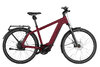 Riese & Müller Charger4 Vario Dark Red Matt