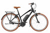 Riese & Müller Cruiser Mixte Silent Black