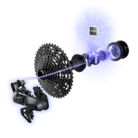 Shimano Hinterradnabe FH-U6060 für Q-Auto 10/11-Gang 142 mm 36-Loch 12 mm Center-Lock
