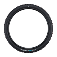 Schwalbe Pneu Romy 29x2.40 Gravity Pro Soft TL-Ready black