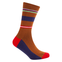 Le Patron Classic Jersey Merckx Socks sienna brown