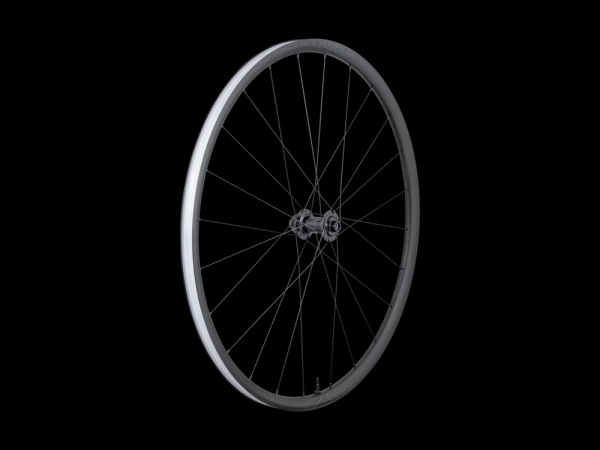Bontrager Hinterrad Paradigm Comp Disc 110 Black