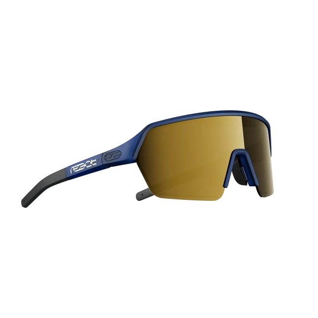 React ervo gold blue