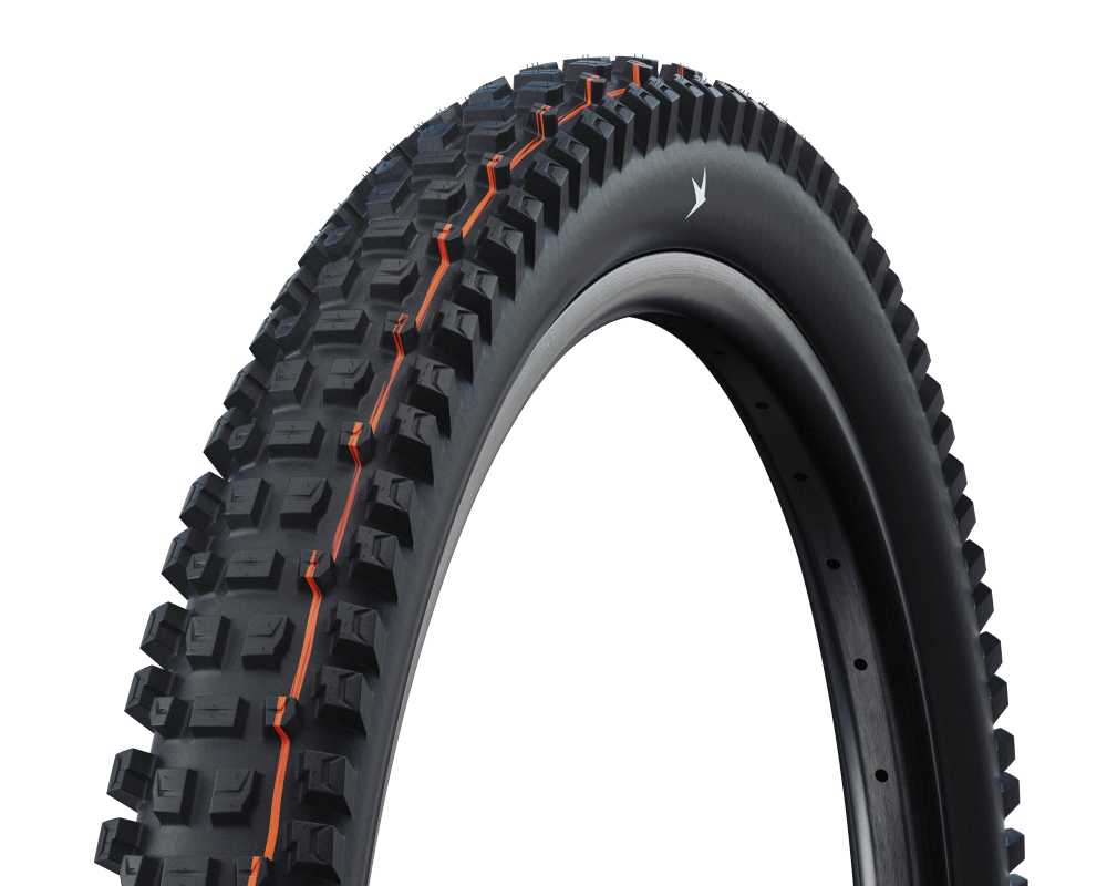 Schwalbe Pneu Albert 29x2.50 Gravity Pro Soft TL-Ready black Radial