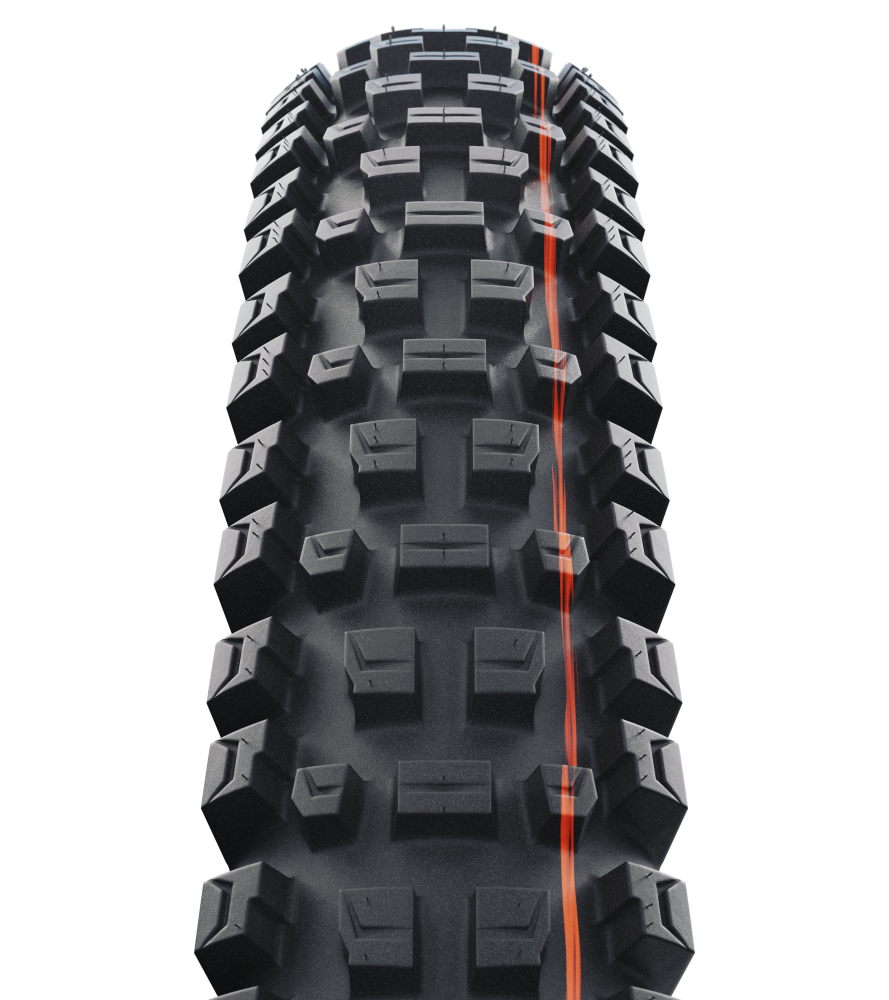 Schwalbe Pneu Albert 29x2.50 Gravity Pro Soft TL-Ready black Radial