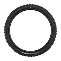 Schwalbe Pneu Albert 29x2.50 Gravity Pro Soft TL-Ready black Radial