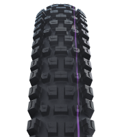 Schwalbe Pneu Albert 29x2.60 Trail Pro UltraSoft TL-Ready black Radial