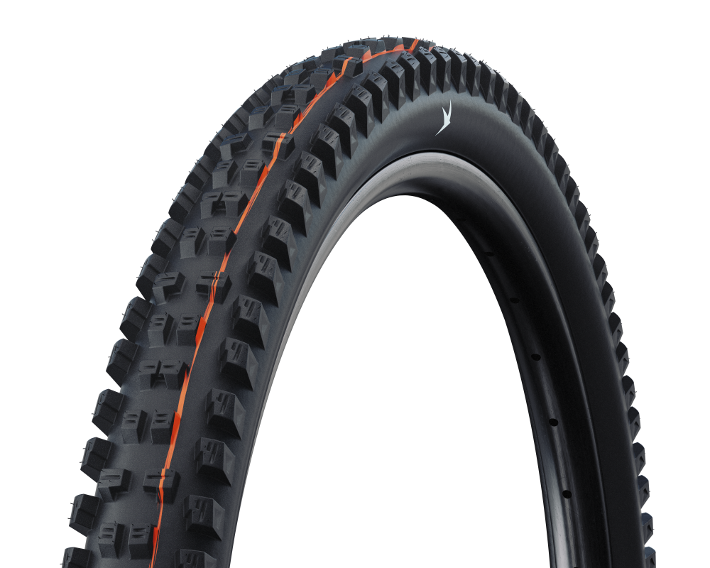 Schwalbe Pneu Tacky Chan 29x2.40 Trail Pro Soft TL-Ready black