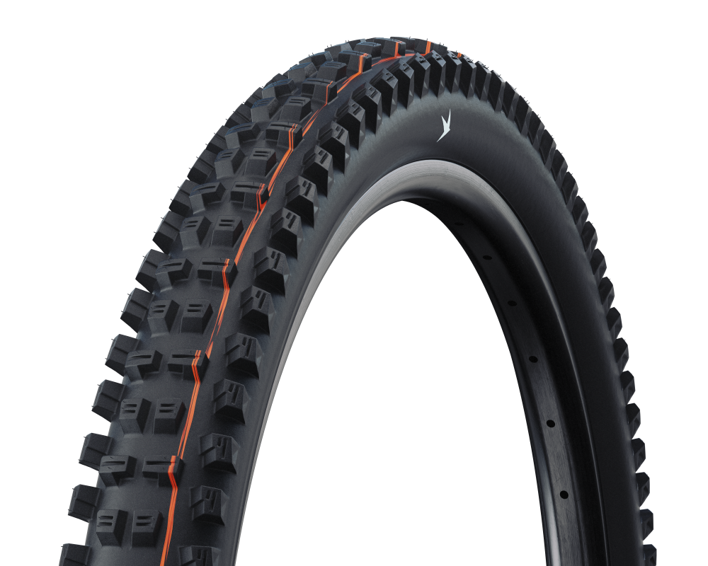 Schwalbe Pneu Tacky Chan 29x2.50 Trail Pro Soft TL-Ready black Radial