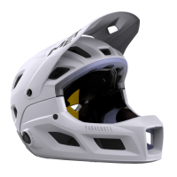 MET MTB Helm, PARACHUTE MCR MIPS, LILAC MATT, L