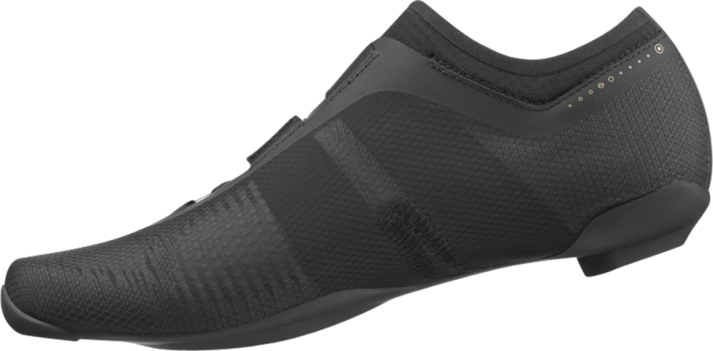 Fizik Vega Carbon Shoes schwarz/schwarz 44