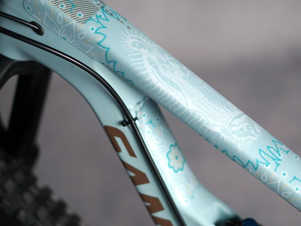 DyedBro Frame Protection Guadalupe. White.