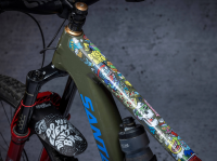DyedBro Frame Protection Juay X . Colour.