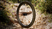 BONTRAGER Reifen Gunnison RSL XT 27.5x2.40 TLR Black