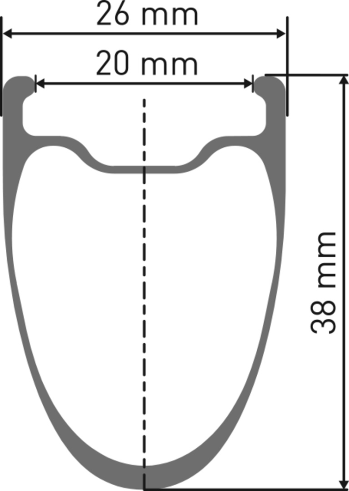 DT Swiss ARC 1100 DICUT Laufrad 700C CL 38 100/12mm