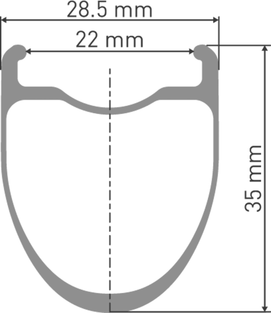 DT Swiss ERC 1400 DICUT Laufrad 700C CL 35 100/12mm