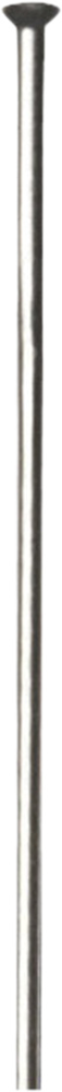 DT Swiss Champion SP Speichen 2.0 silber 246mm 10 Stk.