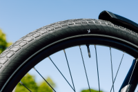 Schwalbe Pneu Motion Big Apple 27.5x2.15 Addix Green starr mit Reflexstreifen black