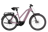 Riese & Müller Charger5 Mixte vario