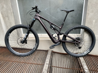 Specialized Sj Evo Redonyx/blk S4