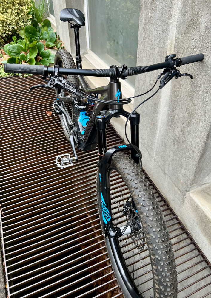 Specialized Turbo Levo FSR Expert CE 6Fattie, Frisch ab Service