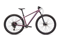 Specialized Rockhopper Expert