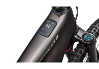 Specialized Levo 4 EVO Comp S4