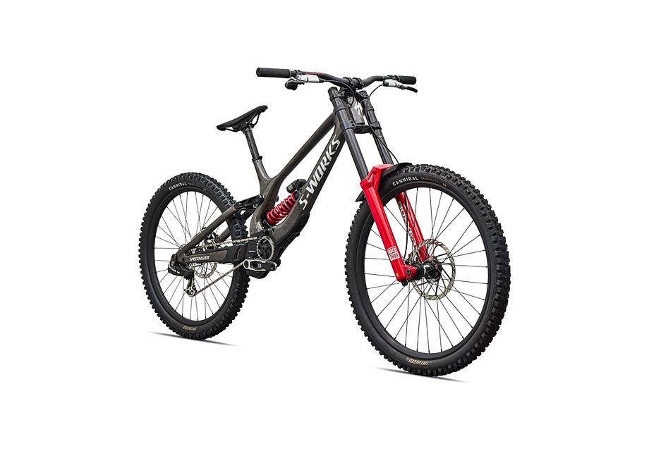 Specialized S-Works Demo 11