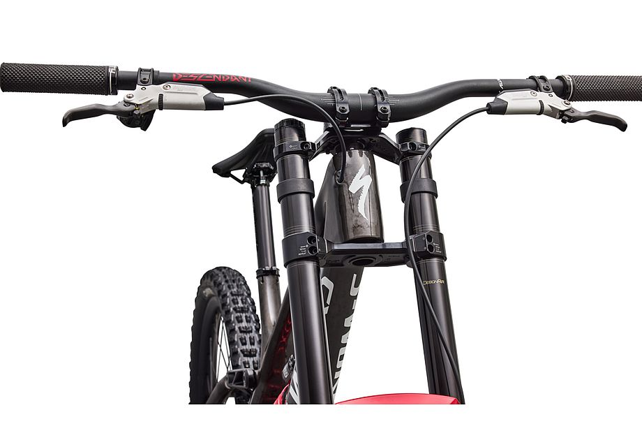 Specialized S-Works Demo 11